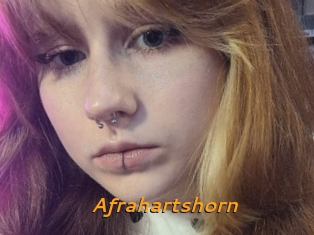 Afrahartshorn