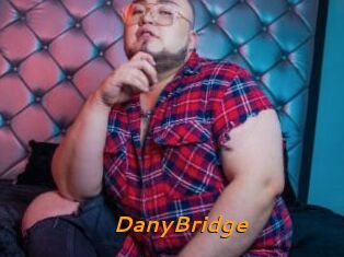 DanyBridge