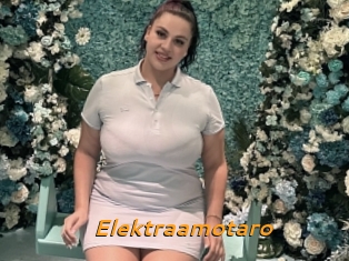 Elektraamotaro
