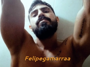 Felipegamarraa