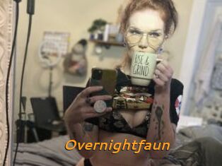 Overnightfaun