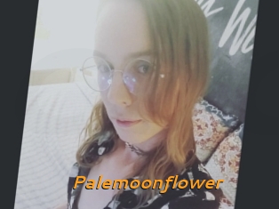 Palemoonflower
