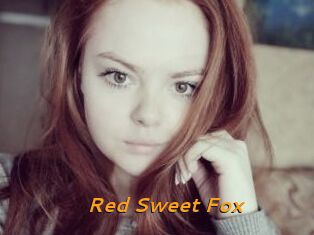 Red_Sweet_Fox