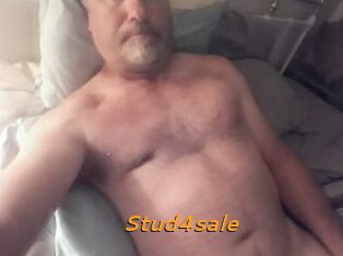 Stud4sale
