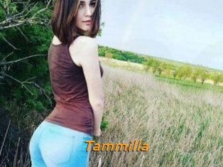 Tammilla_