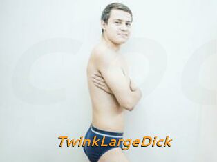 TwinkLargeDick