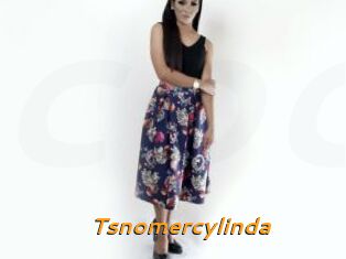 Tsnomercylinda