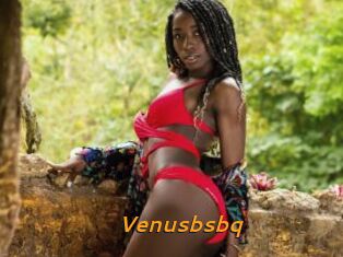 Venusbsbq
